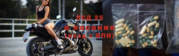 индика Абинск