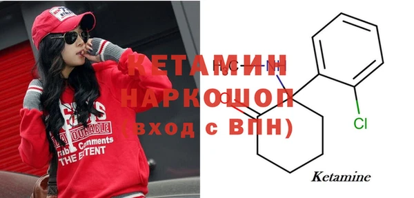 сатива Абаза