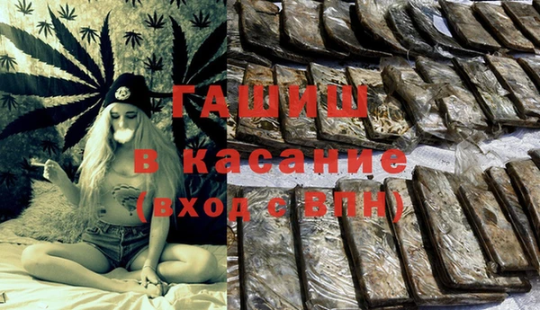 индика Абинск