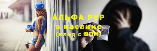 индика Абинск