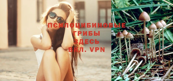 сатива Абаза