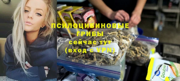 индика Абинск