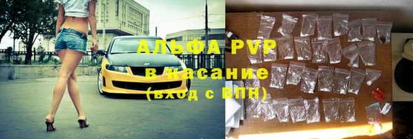 индика Абинск