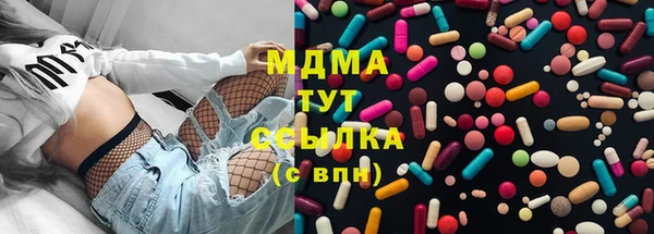 индика Абинск