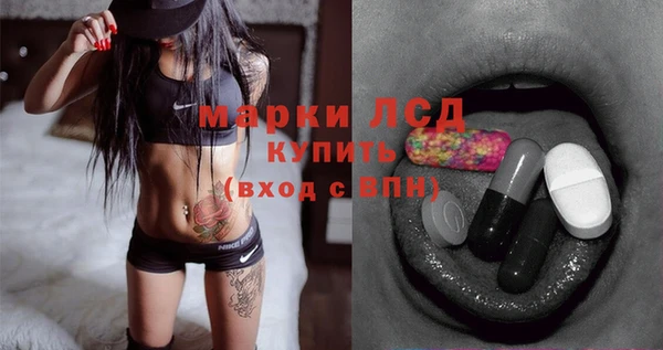 индика Абинск