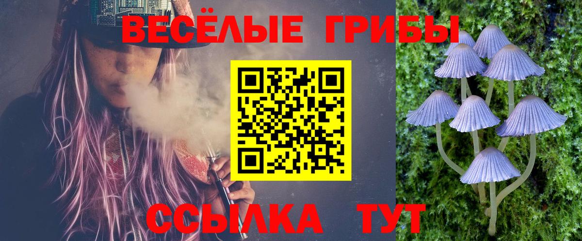 Галлюциногенные грибы Psilocybe  Вход с VPN  Лысьва 